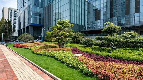 landscaping next to a commercial business building